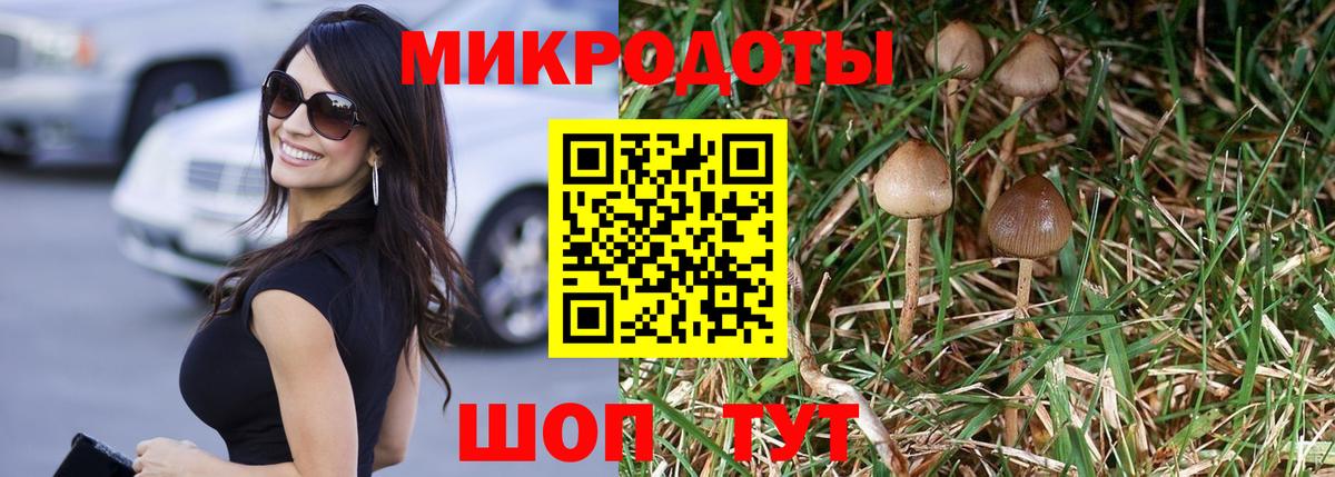 наркошоп  Вход с VPN  Кропоткин  Псилоцибиновые грибы Psilocybine cubensis  Псилоцибиновые грибы GOLDEN TEACHER 