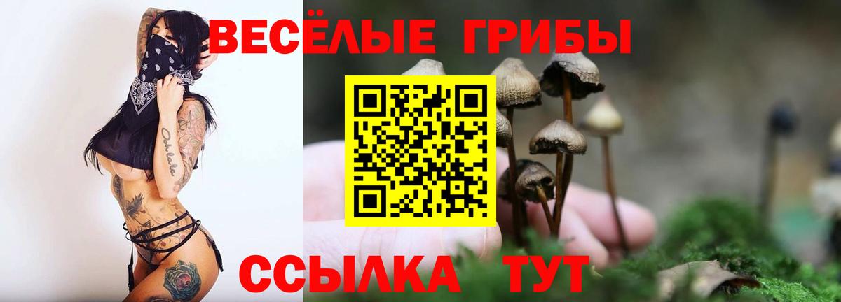Псилоцибиновые грибы прущие грибы Кропоткин